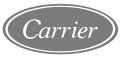 Logo Carrier
